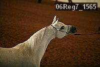 06reg7_1565 proof