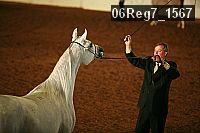 06reg7_1567 proof