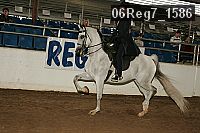 06reg7_1586 proof