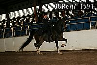 06reg7_1591 proof