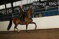 06reg7_1592 proof