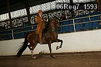 06reg7_1593 proof