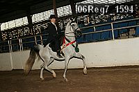 06reg7_1594 proof