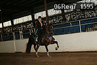 06reg7_1595 proof