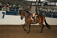 06reg7_1600 proof