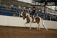 06reg7_1605 proof