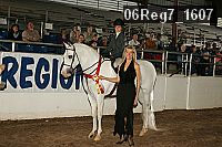 06reg7_1607 proof