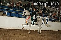 06reg7_1640 proof
