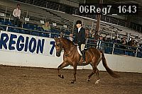 06reg7_1643 proof