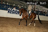 06reg7_1645 proof