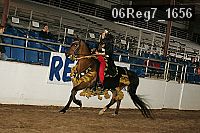 06reg7_1656 proof
