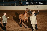 06reg7_1670 proof