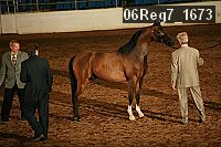 06reg7_1673 proof