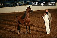 06reg7_1677 proof