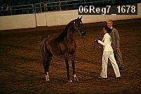 06reg7_1678 proof