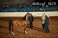 06reg7_1679 proof