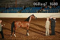06reg7_1680 proof