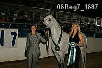 06reg7_1687 proof