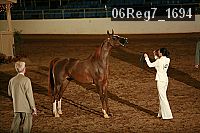 06reg7_1694 proof