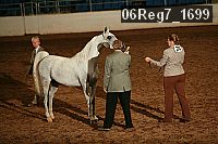 06reg7_1699 proof