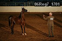 06reg7_1701 proof