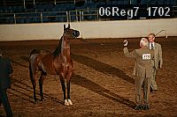 06reg7_1702 proof