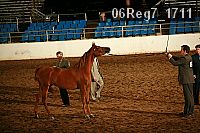 06reg7_1711 proof