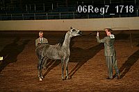 06reg7_1718 proof