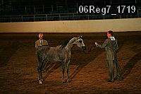 06reg7_1719 proof