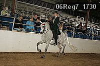 06reg7_1730 proof