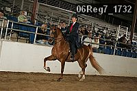 06reg7_1732 proof