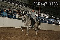 06reg7_1733 proof