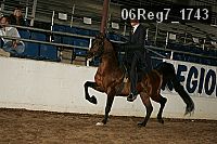 06reg7_1743 proof