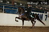 06reg7_1750 proof