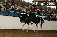 06reg7_2006 proof