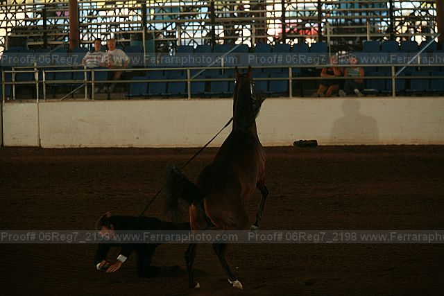 Proof 06reg7_2198