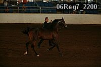 06reg7_2200 proof