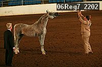 06reg7_2202 proof
