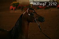 06reg7_2212 proof