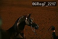 06reg7_2217 proof