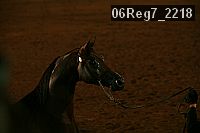 06reg7_2218 proof