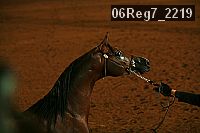 06reg7_2219 proof