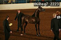 06reg7_2223 proof