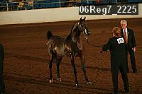 06reg7_2225 proof