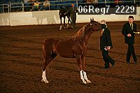 06reg7_2229 proof