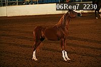 06reg7_2230 proof