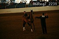 06reg7_2231 proof