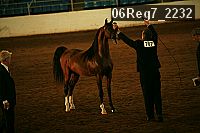 06reg7_2232 proof