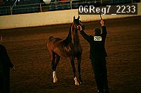 06reg7_2233 proof