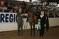 06reg7_2250 proof